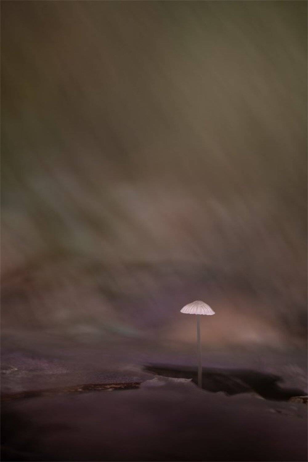 , Геннадий Мещеряков