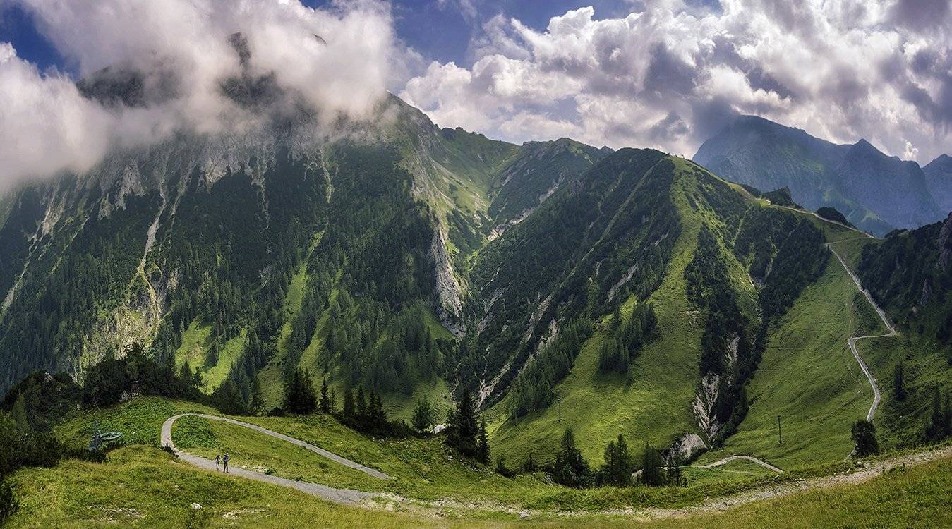 , Игорь Мелекесцев