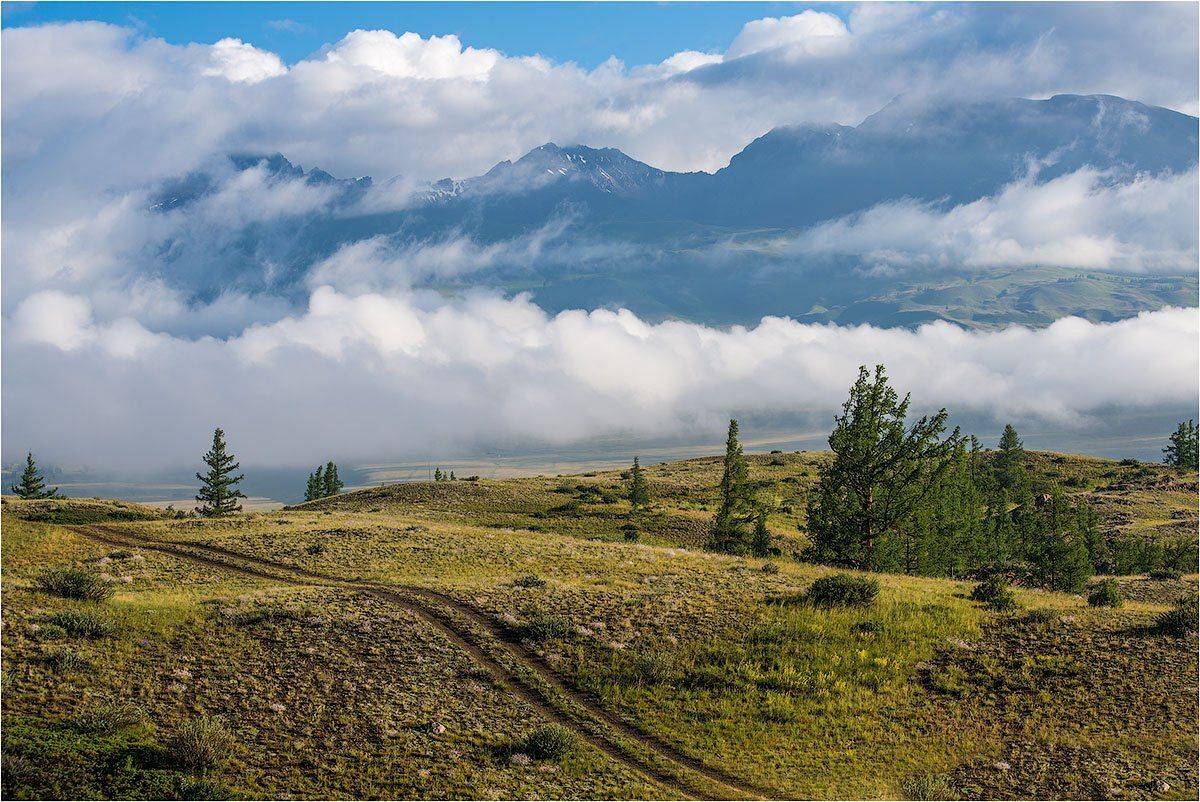 алтай, курайская степь., Кутыгин Эдуард