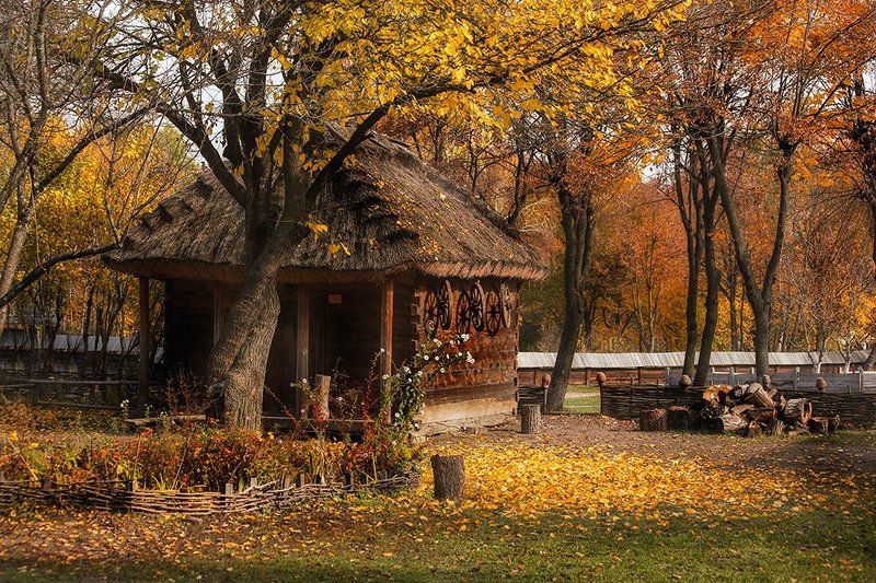 *** фото превью