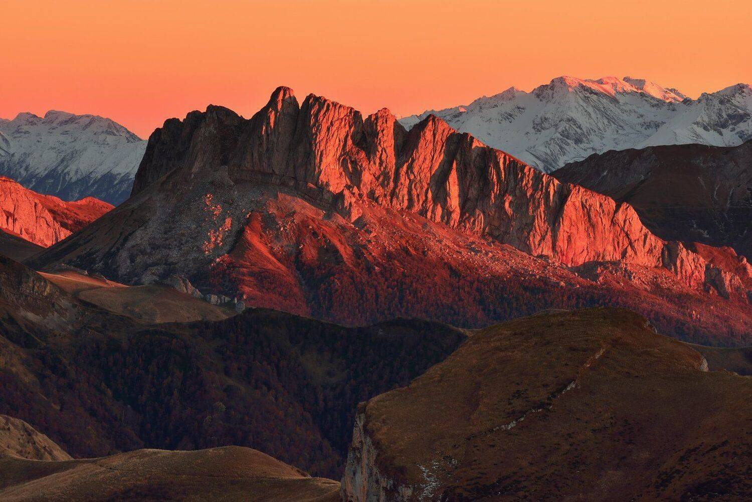 , Максим Евдокимов