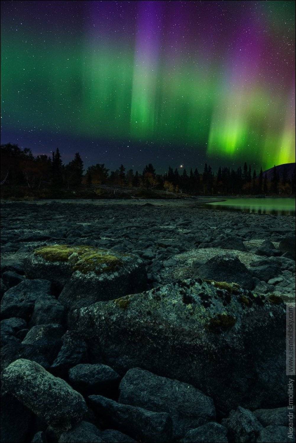 , Александр Ермолицкий