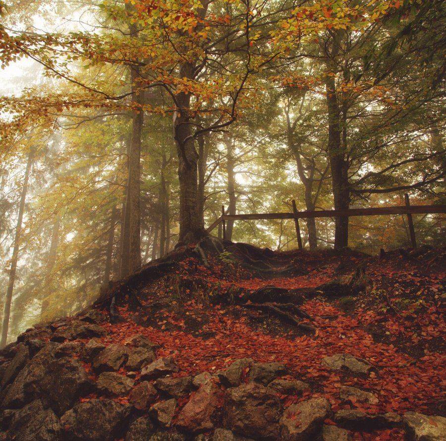 , Александр Удовиченко