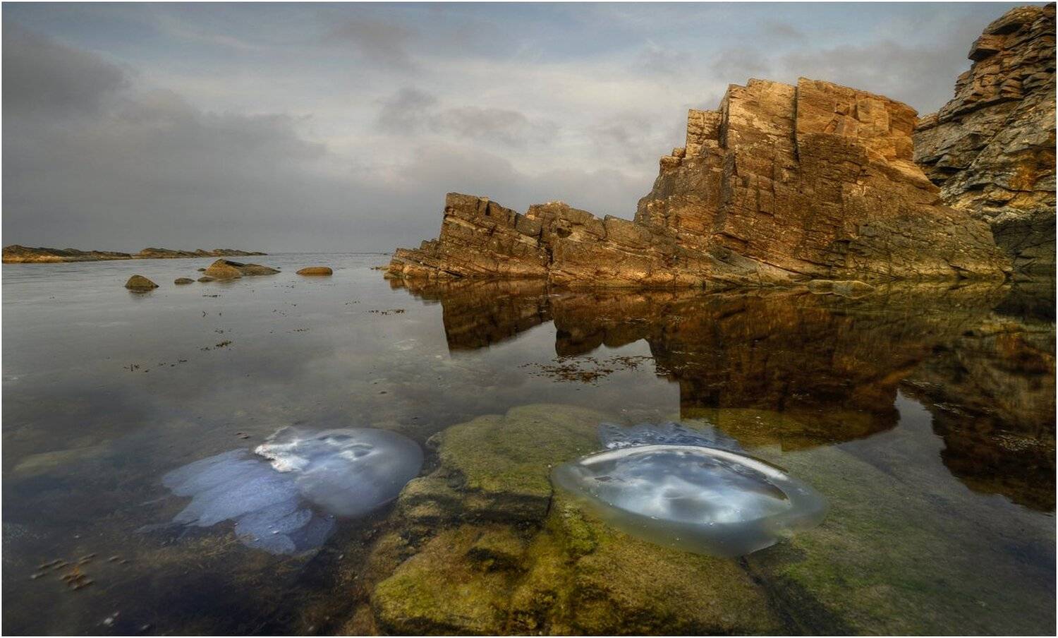 , Румен Паисиев