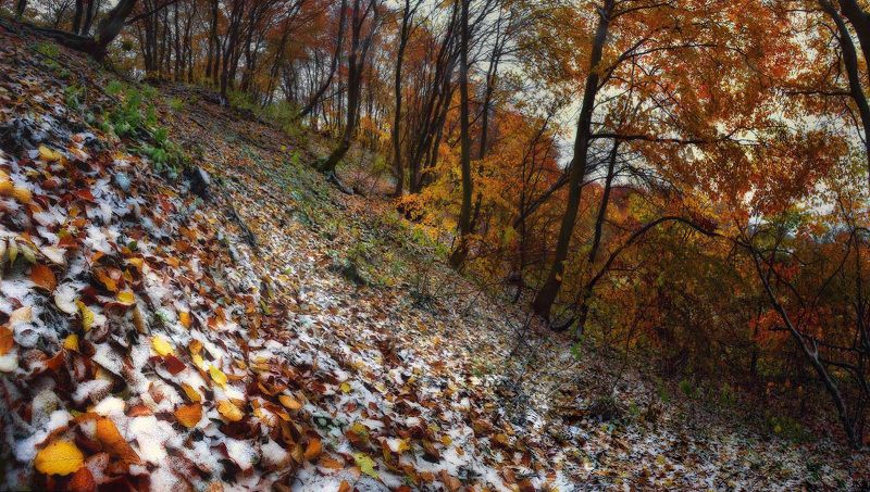 Осень vs Зима фото превью