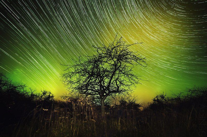 ** фото превью