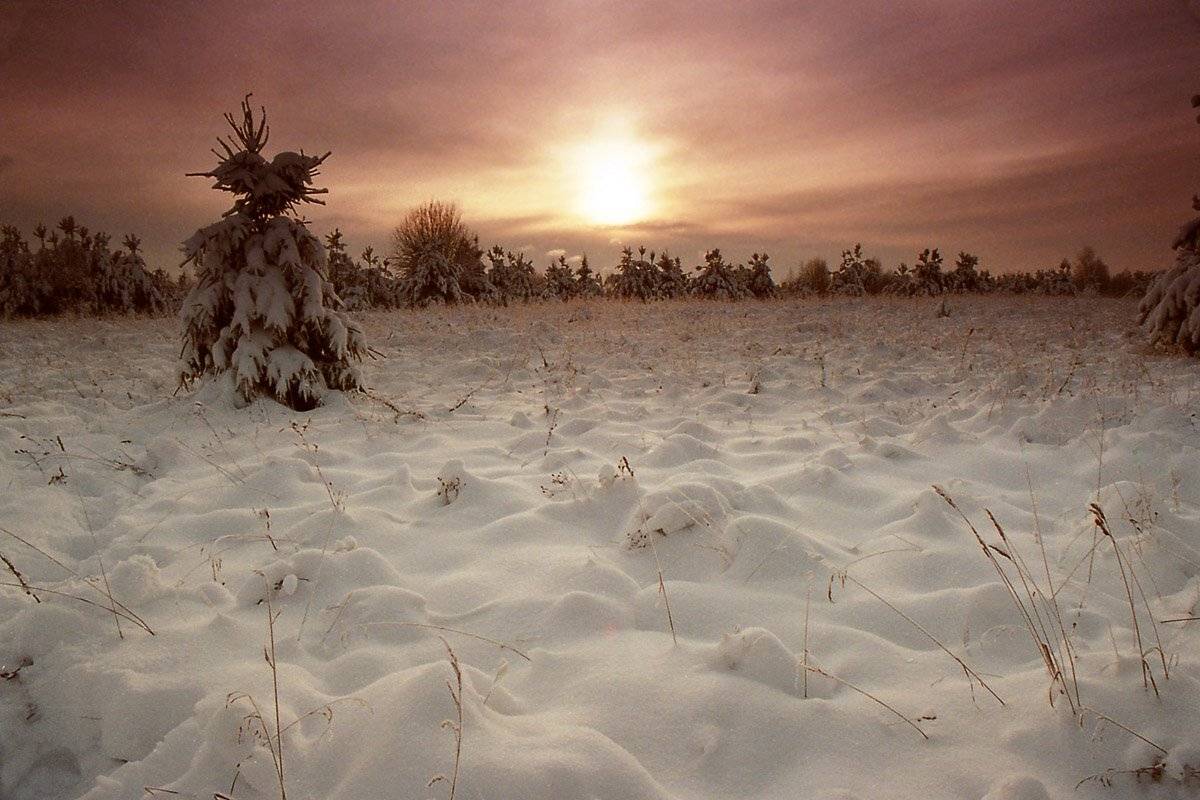 , Сергей Кузнецов
