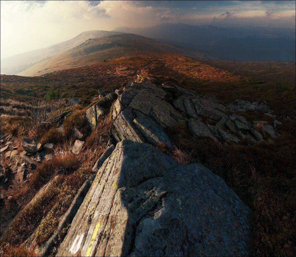 , Полищук И.В.