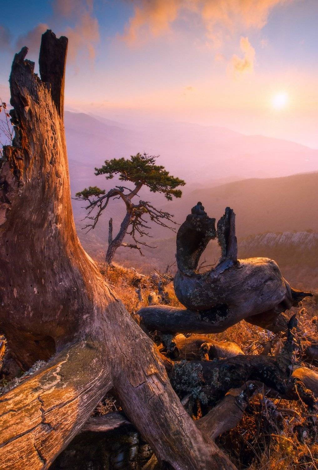 , Виталий Башкатов