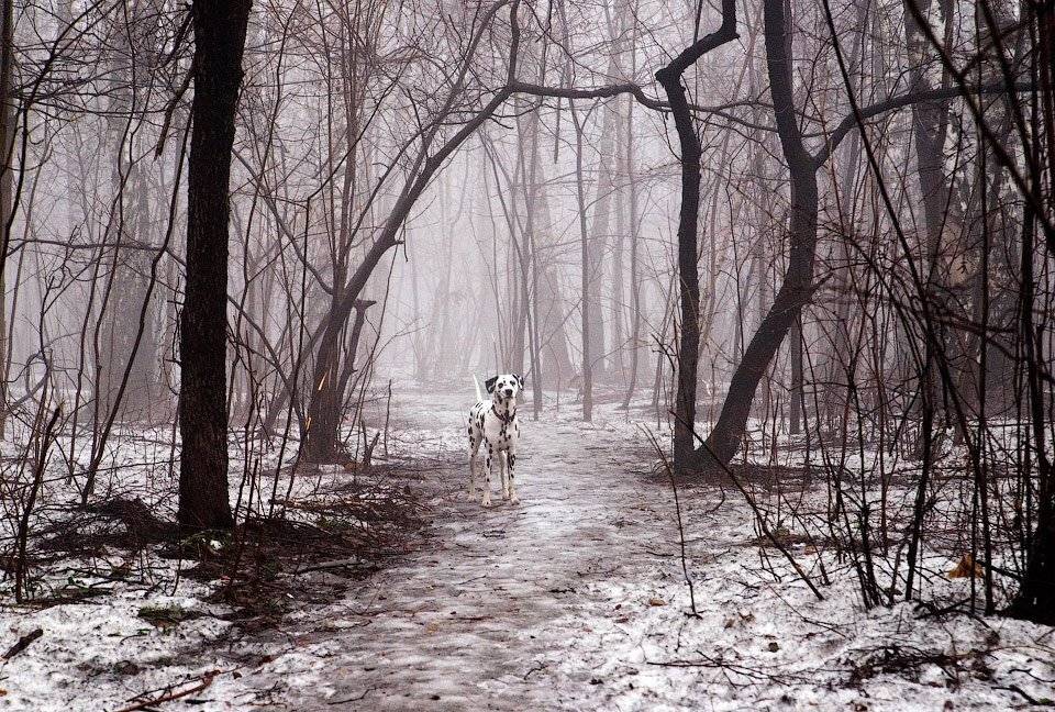 , Алексей Харитонов