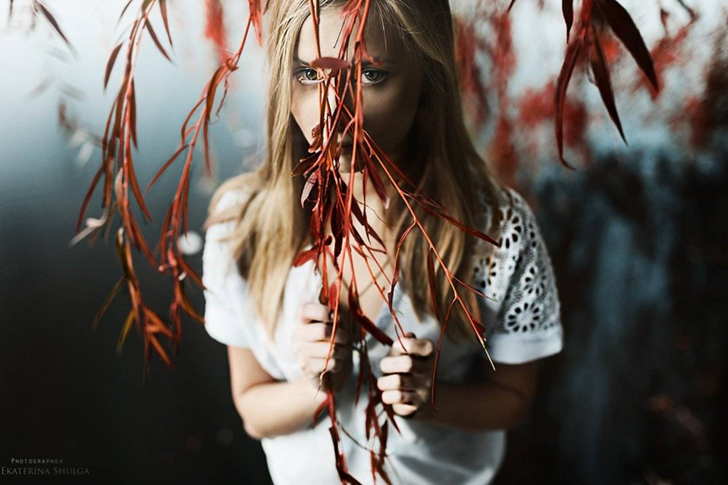 , Шульга Екатерина