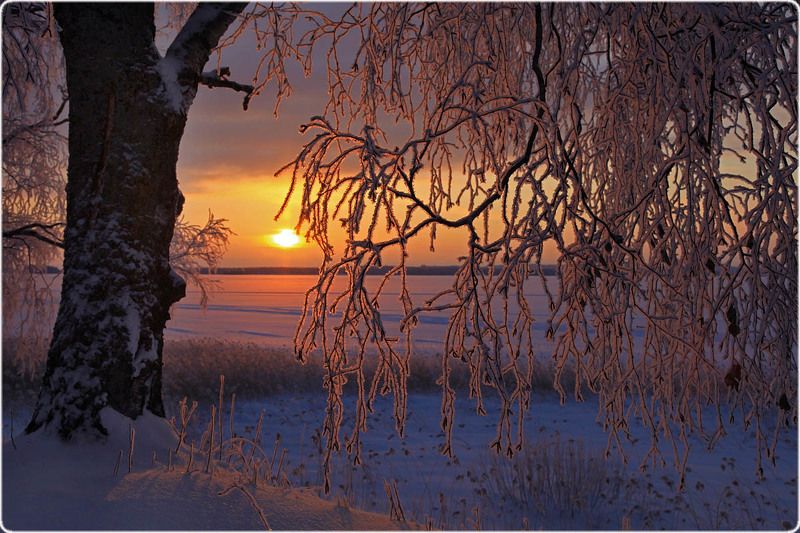 Зимним днем ... фото превью