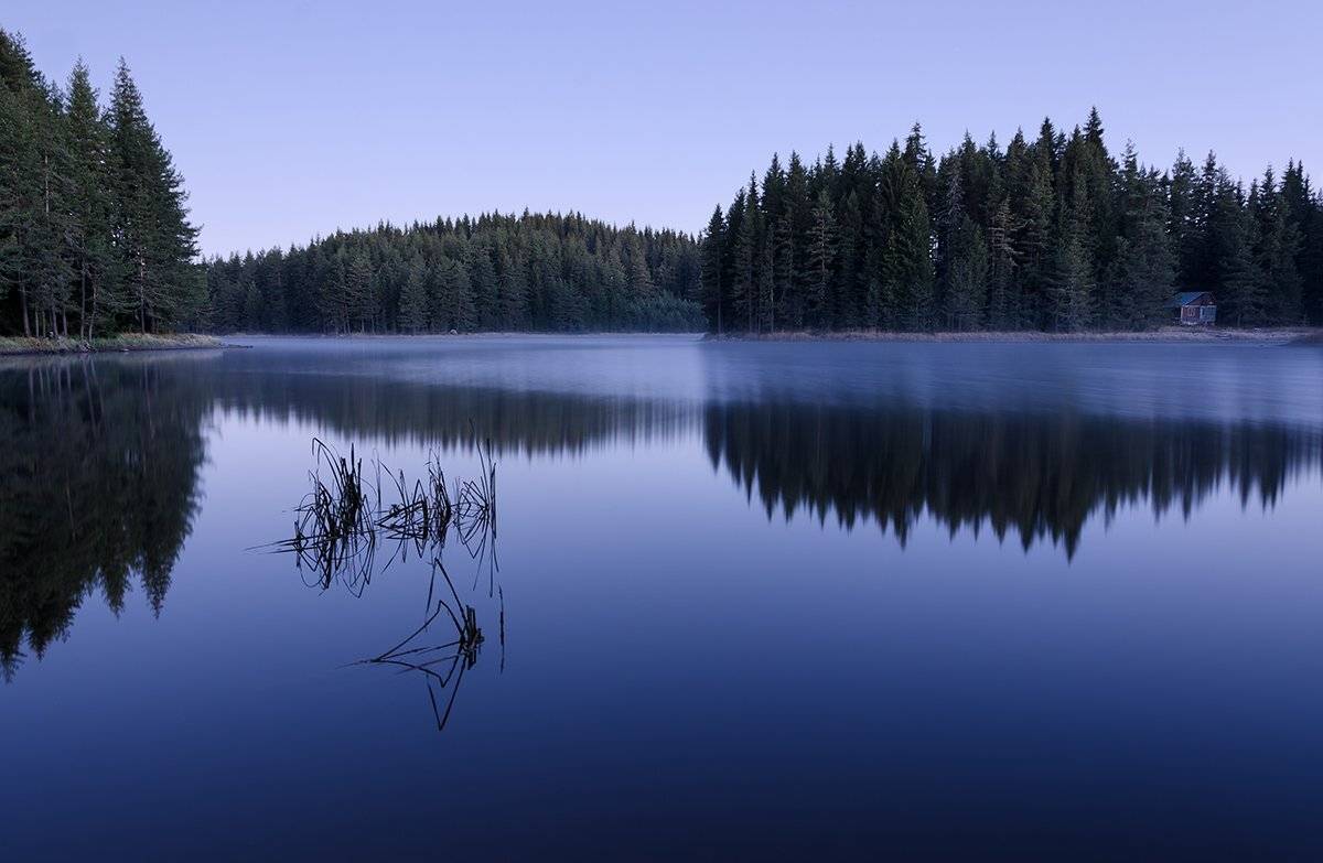 , Милен Добрев