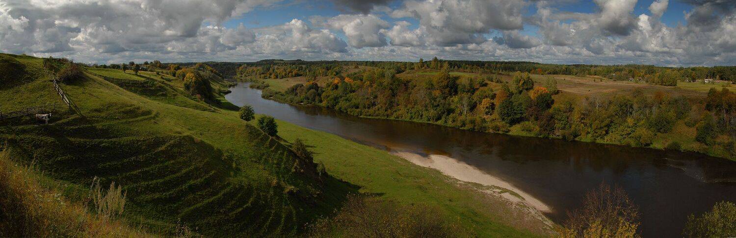 , Николай Шахманцир