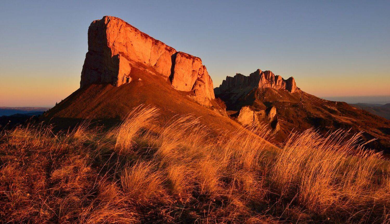 , Максим Евдокимов