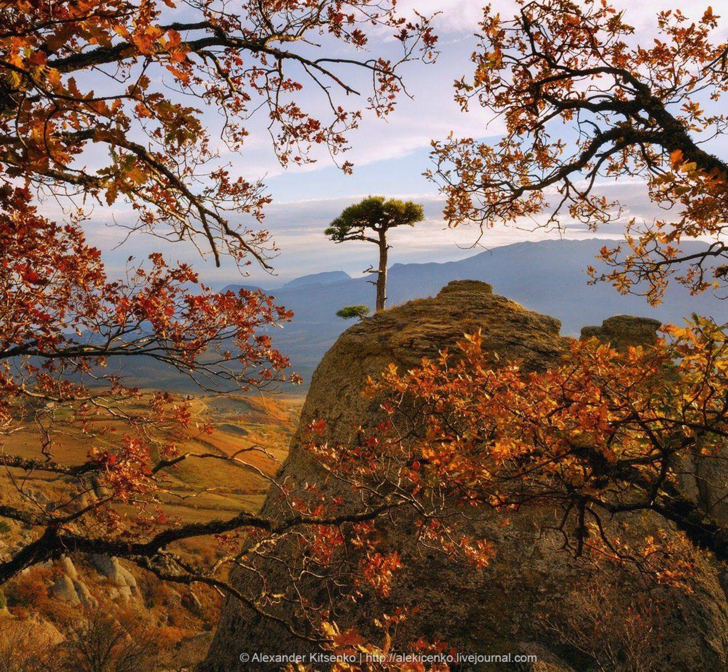 , Александр Киценко