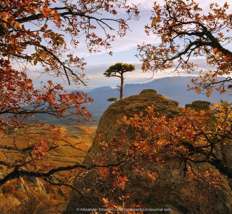 Золотое Одиночество фото превью