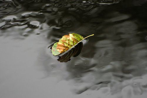 В последний путь