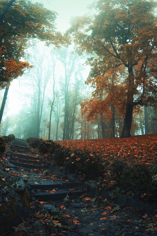 Туман и холод фото превью