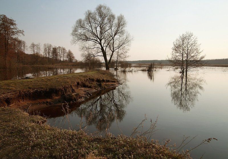 Весна, Воронежская область, Разлив, Река Усманка Усманка в разливе фото превью