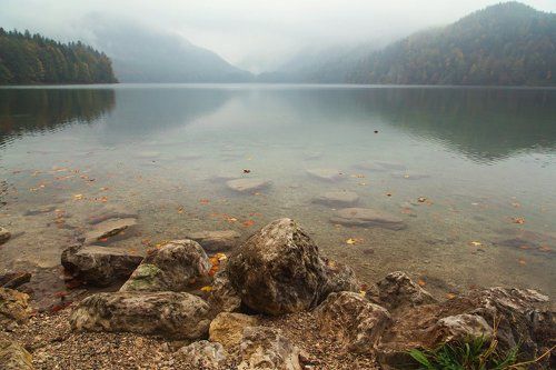 Янтарные оттенки туманного утра