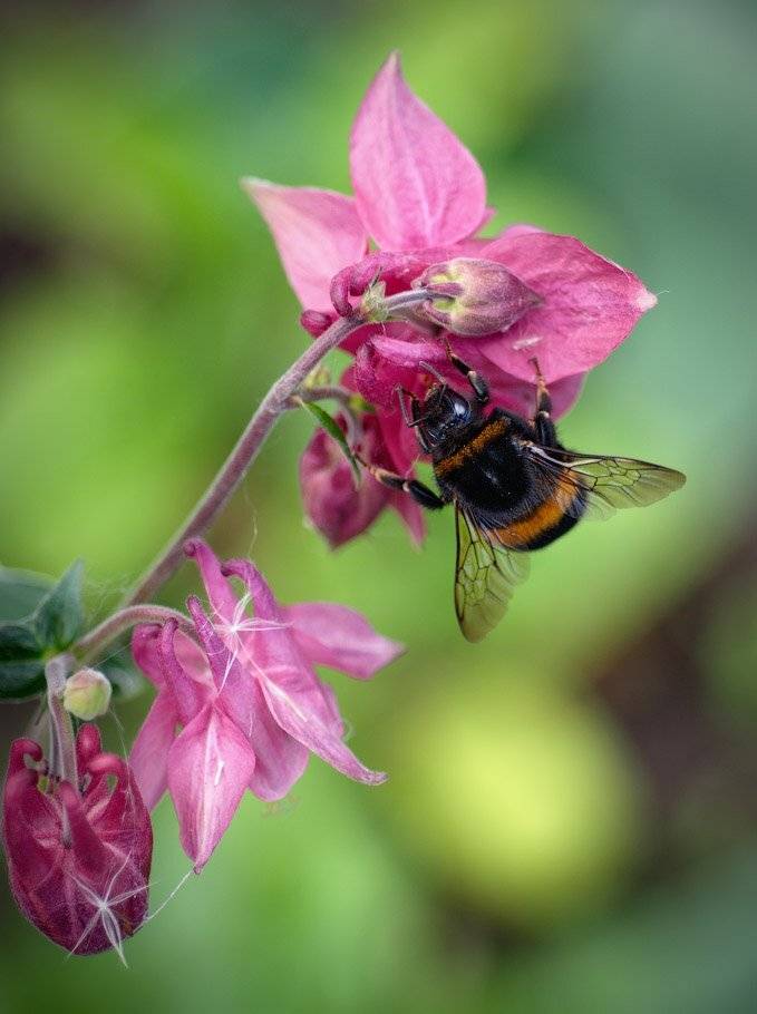 , Сергей Харитон