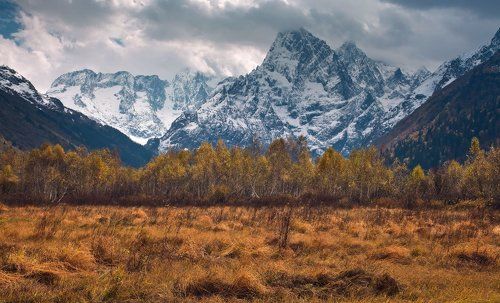 Последний рубеж осени