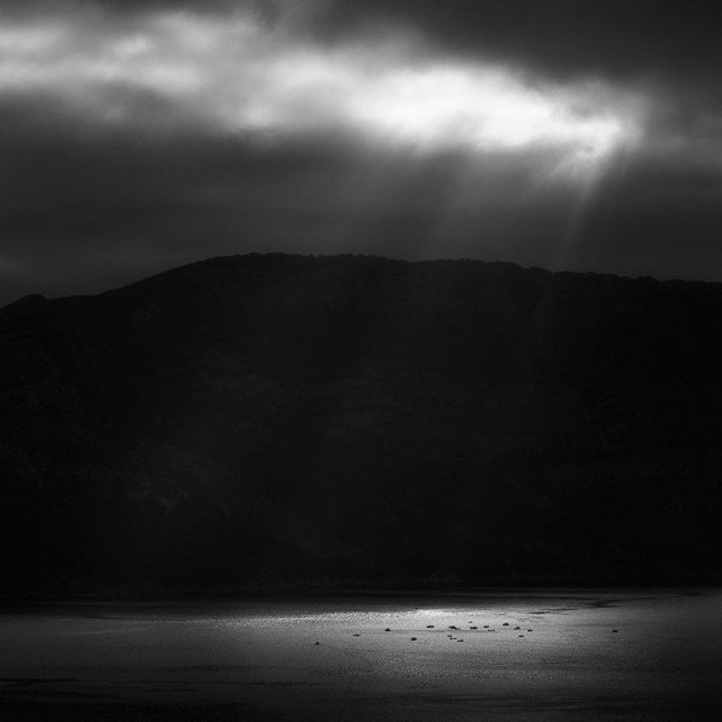 Z или как рыбаки за рыбой в море ходили фото превью