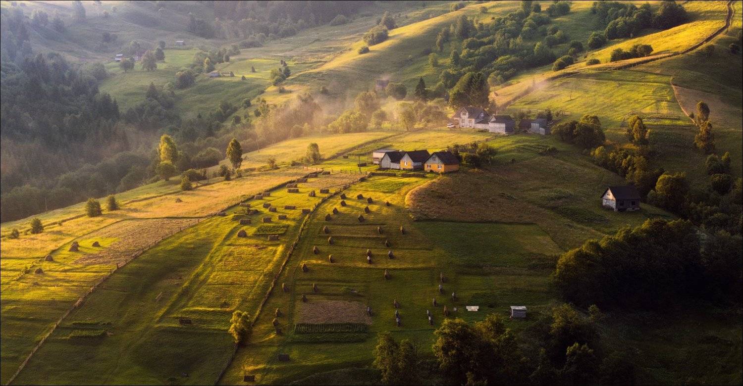 , Влад Соколовский