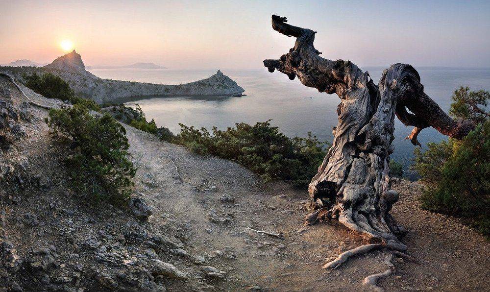 , Маркович Михаил