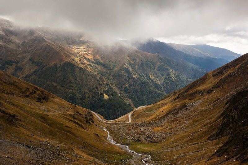Трансфэгэрэшан (2) фото превью