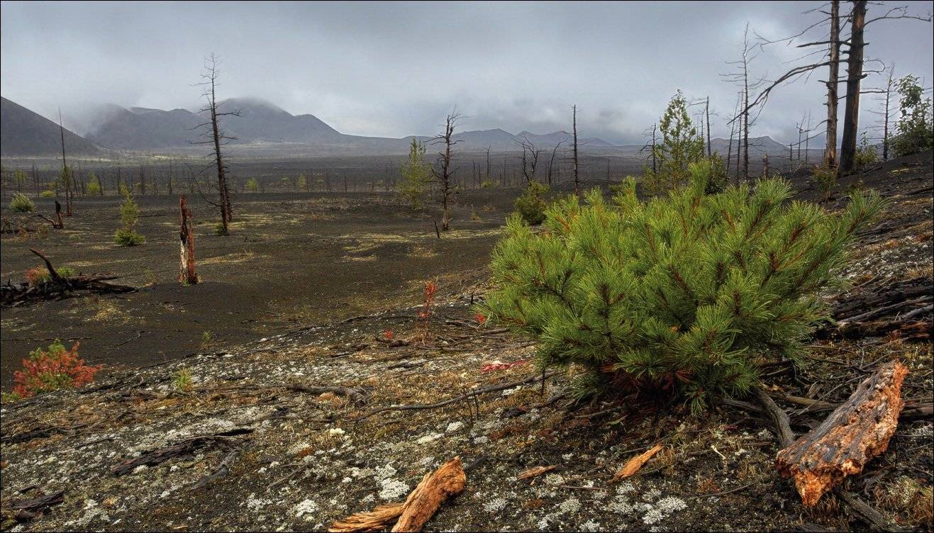 , Вадим Никифоров