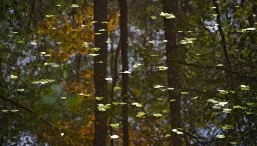 Осенние миражи