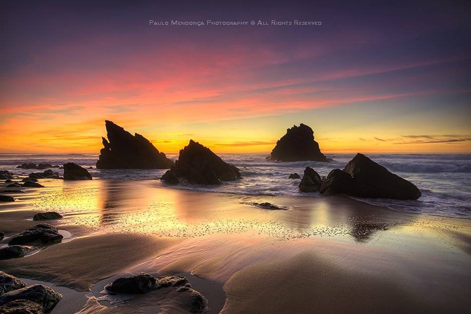 , Paulo Mendon&ccedil;a