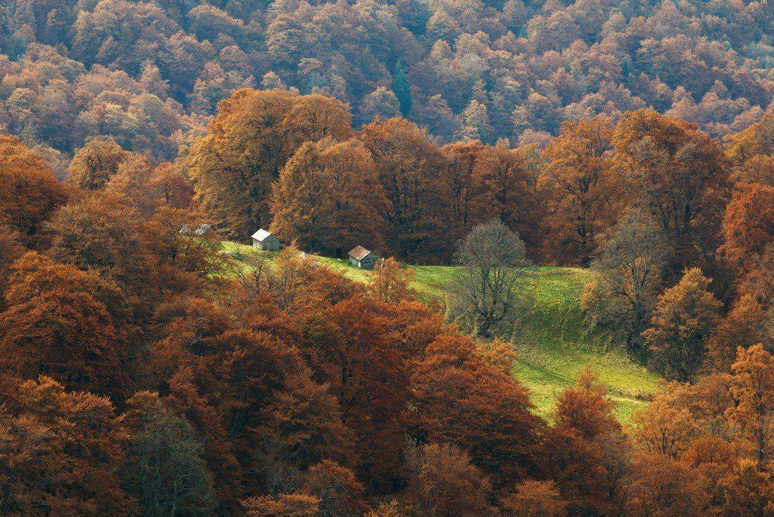 , Ярослав Тюрменко (Jaremi)