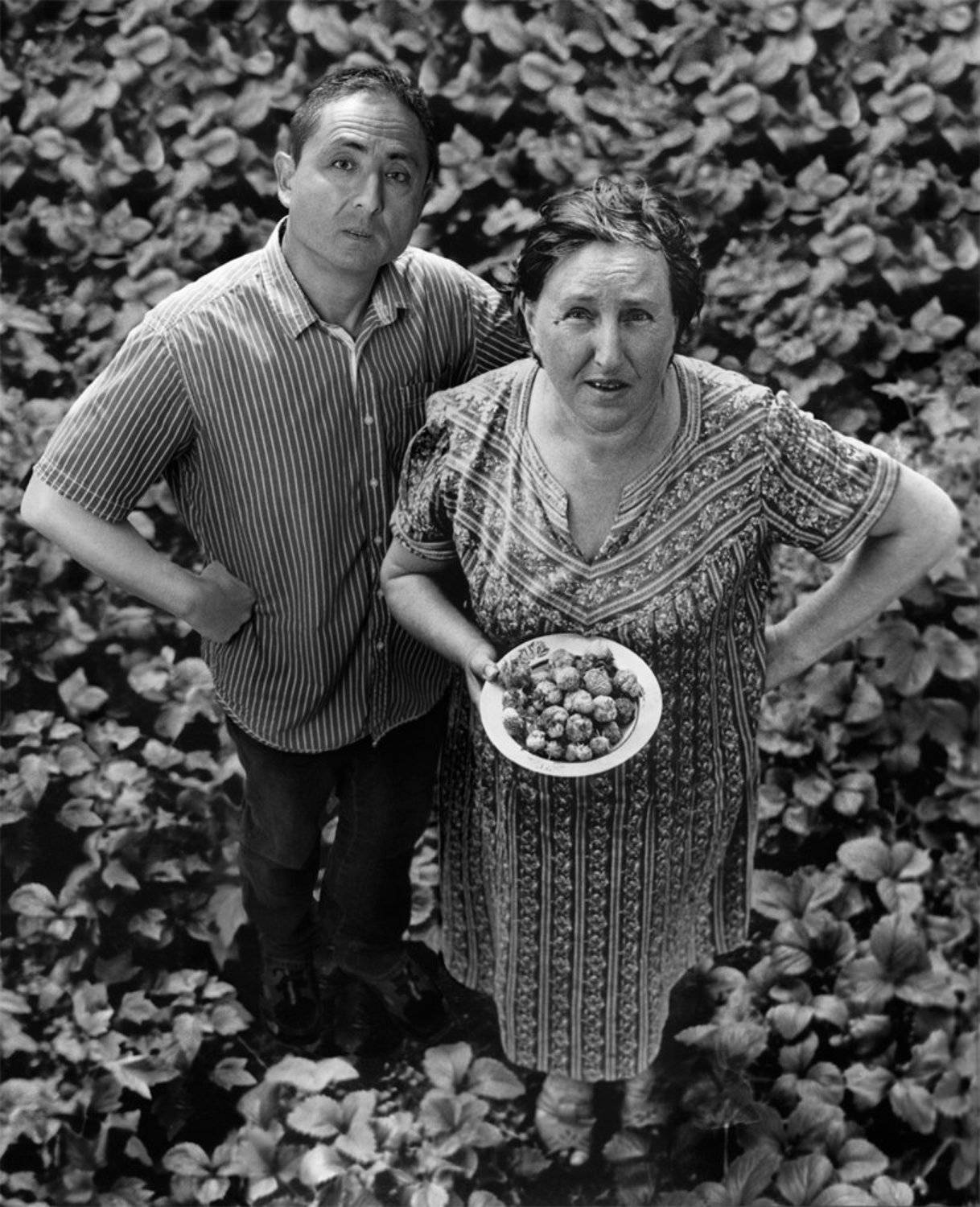 Alexey elkin, Flights in time, Алексей элькин, Время, Полёт, Alexey Elkin