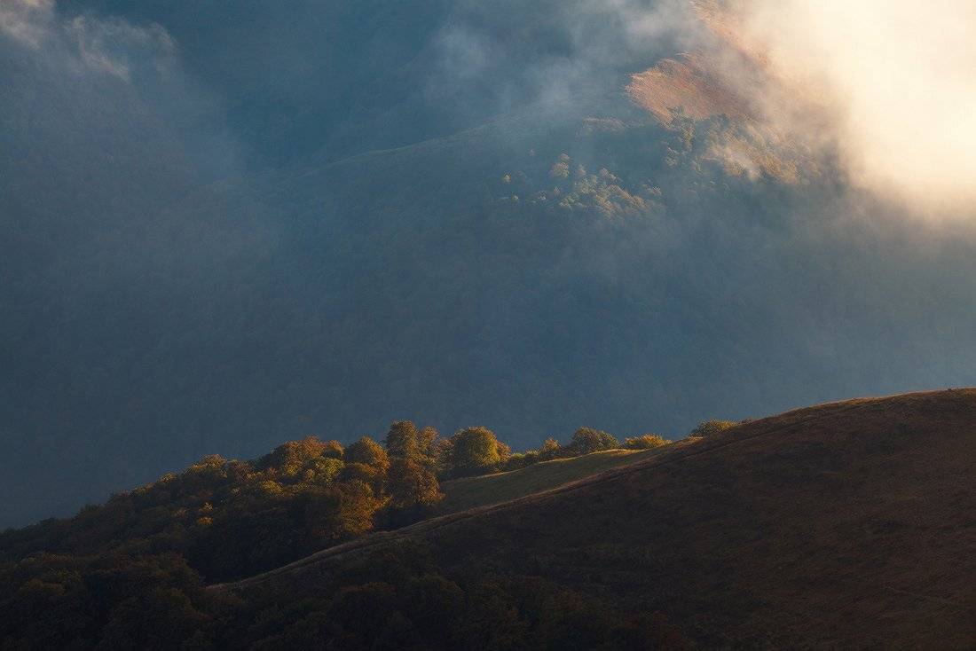 , Ярослав Тюрменко (Jaremi)