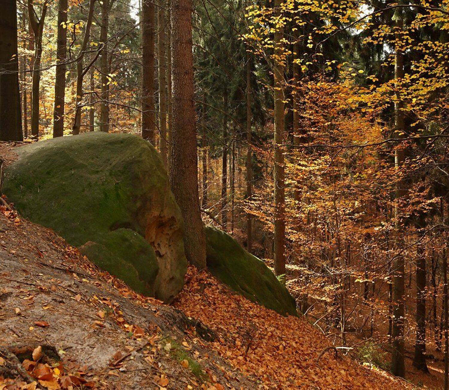 , Игорь Дубровский