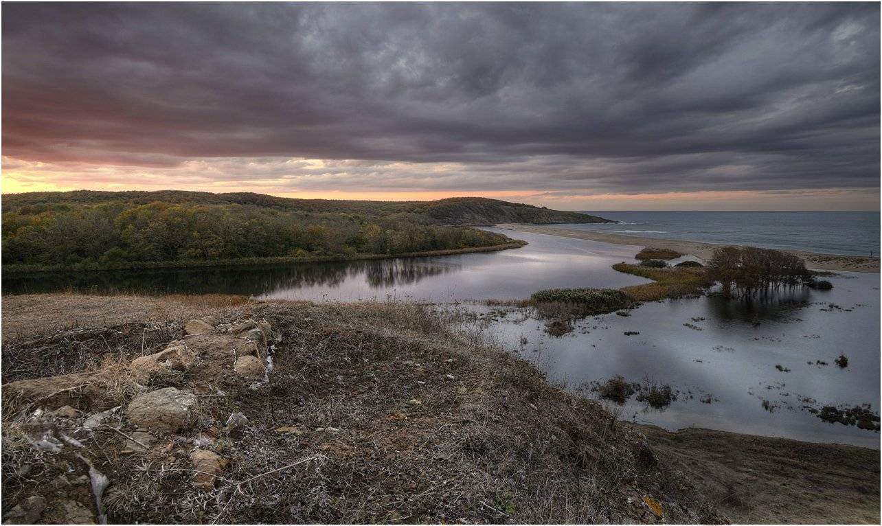 , Румен Паисиев