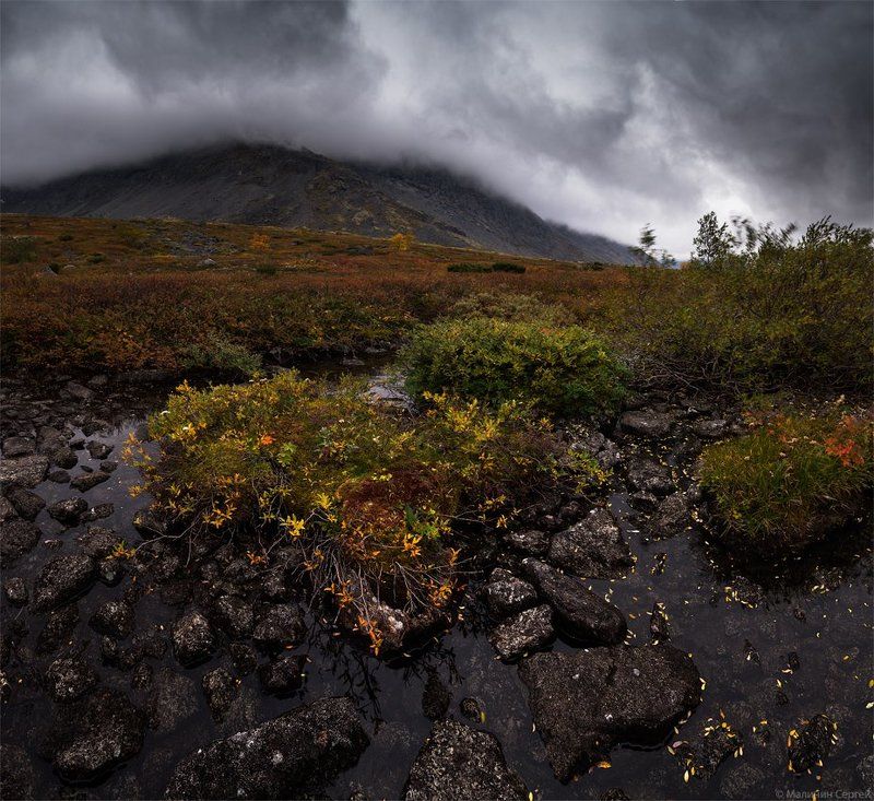 autumn, khibiny, kola peninsula, mountains, горы, кольский, малая белая, осень, хибины Сгущались тучи фото превью