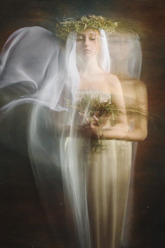 Сорванный цветок фото превью