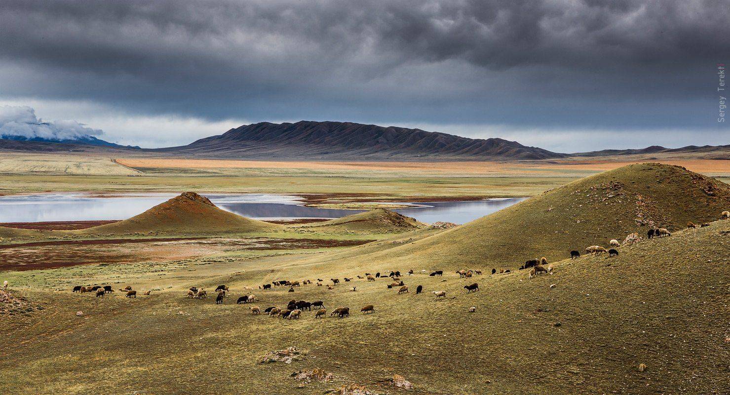 , Сергей Теректі