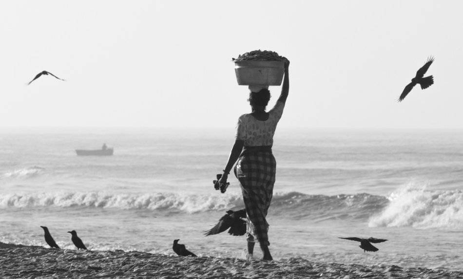 , Людмила Прокофьева