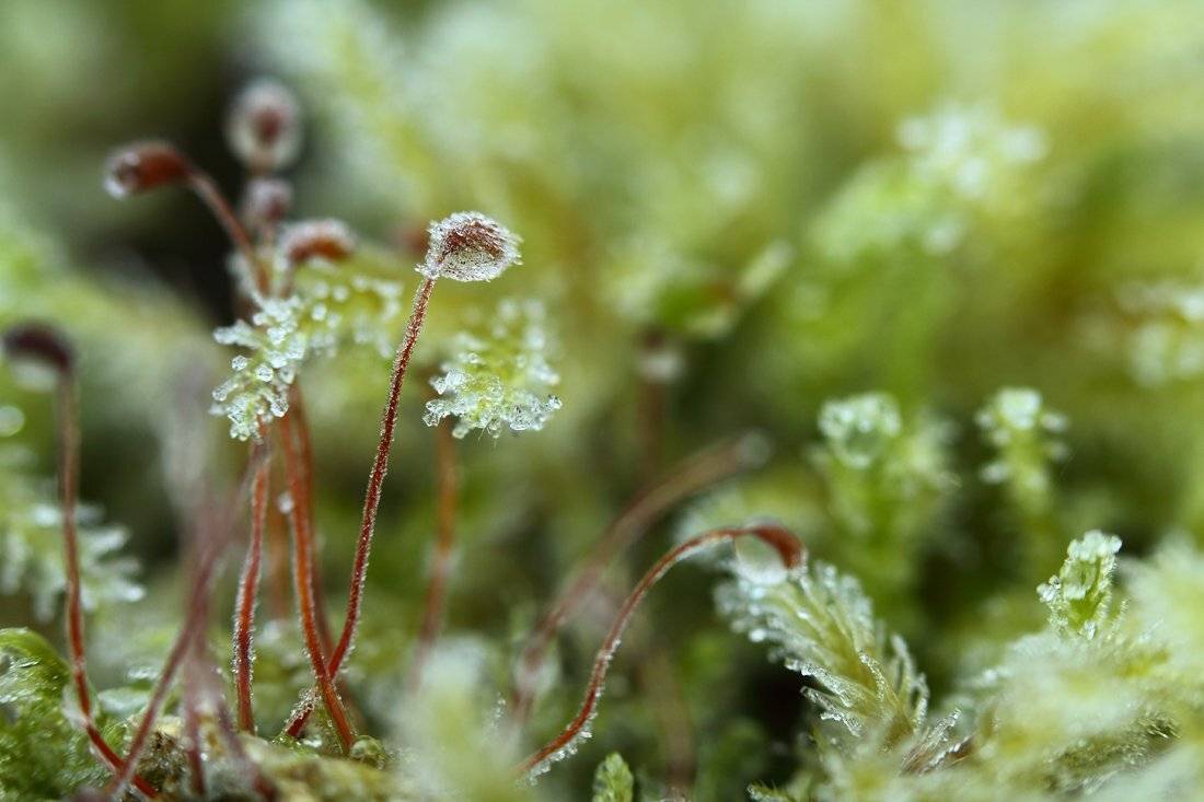 , Сергей Кузнецов