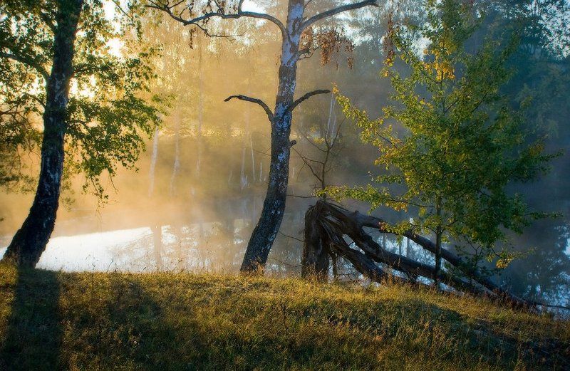 В утреннем свете фото превью