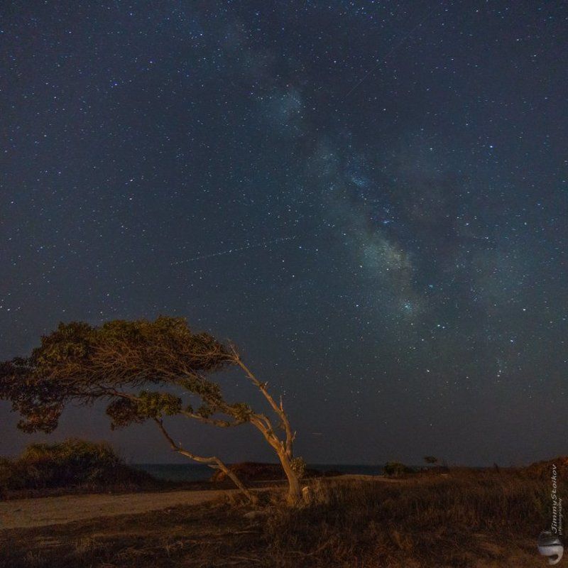 Milky Way фото превью