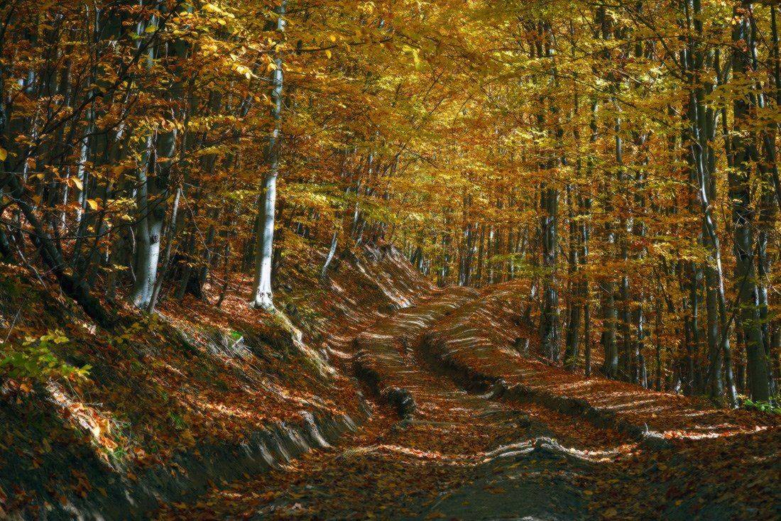 , Ярослав Тюрменко (Jaremi)