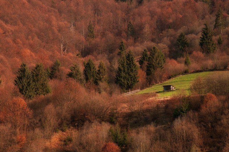 Осенний Форпост фото превью