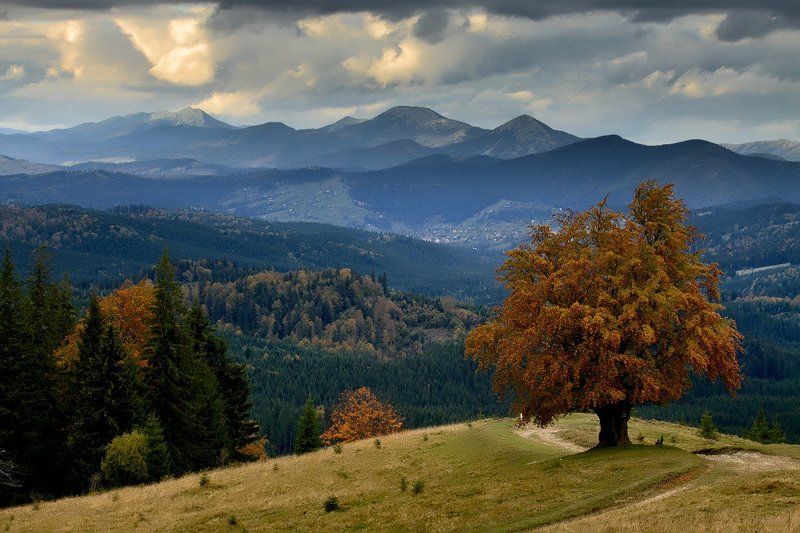 На семи ветрах... фото превью