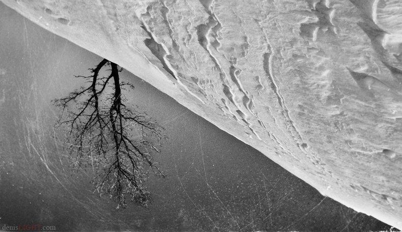 Root of hermon фото превью